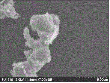 Preparation method and application of a surface-mounted linear silver photocatalyst