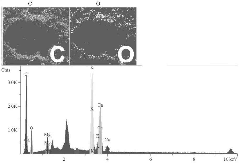 Preparation method and application of modified locust tree leaf charcoal