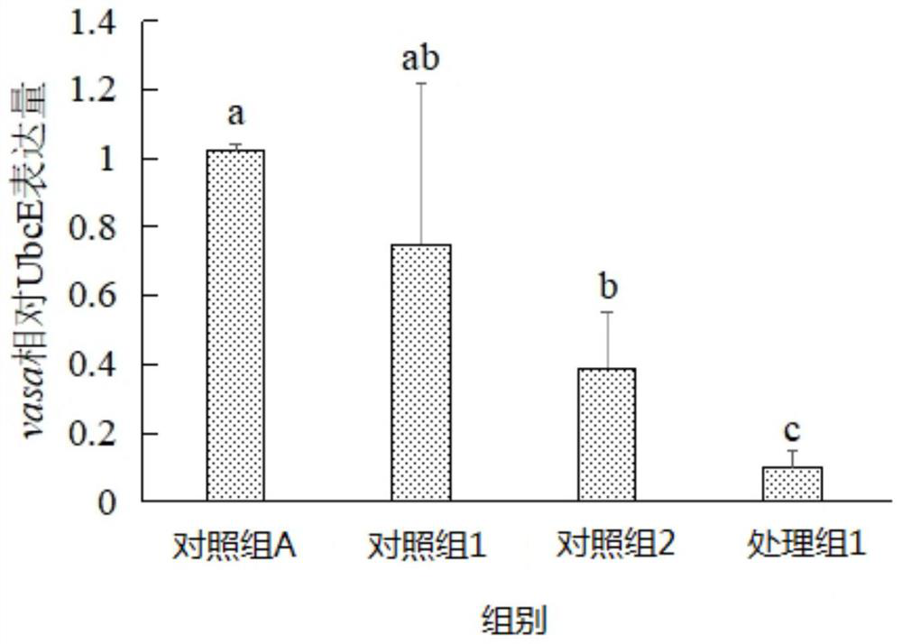 A method to promote apoptosis of testicular germ cells of flounder