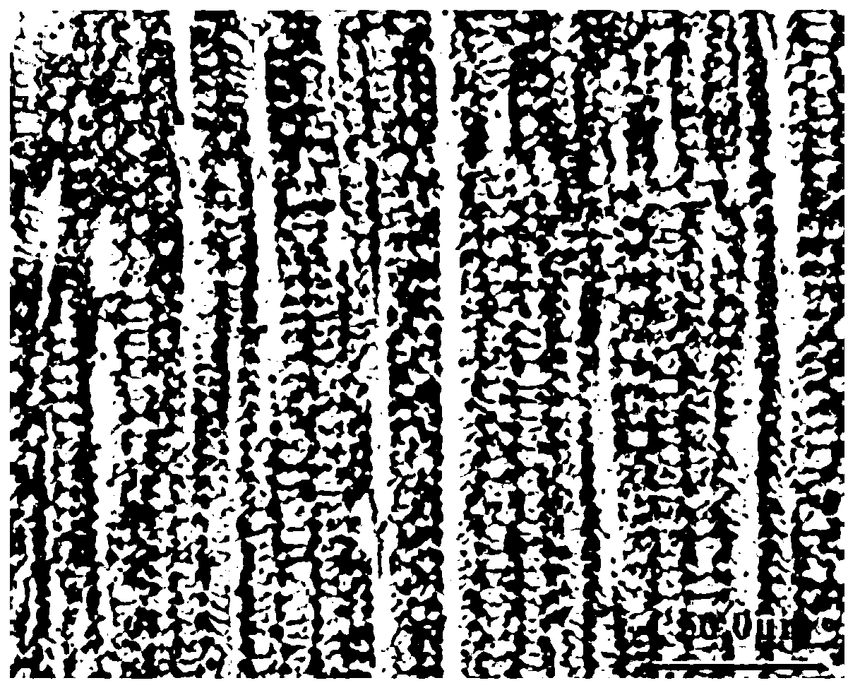 Low-hydrogen basic welding rod for welding 1Ni9 steel and preparation method thereof