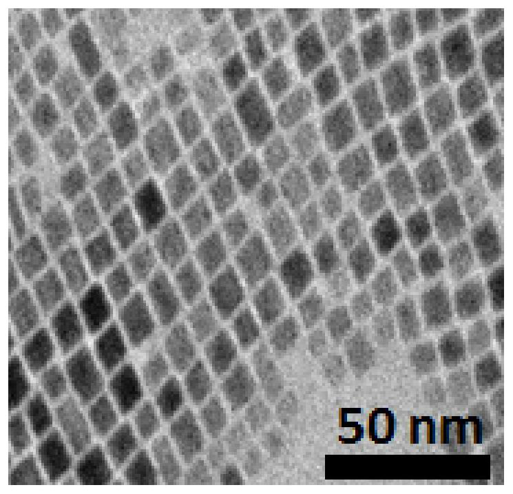 Rare earth doped perovskite nanocrystal, preparation method thereof and photoelectric detector