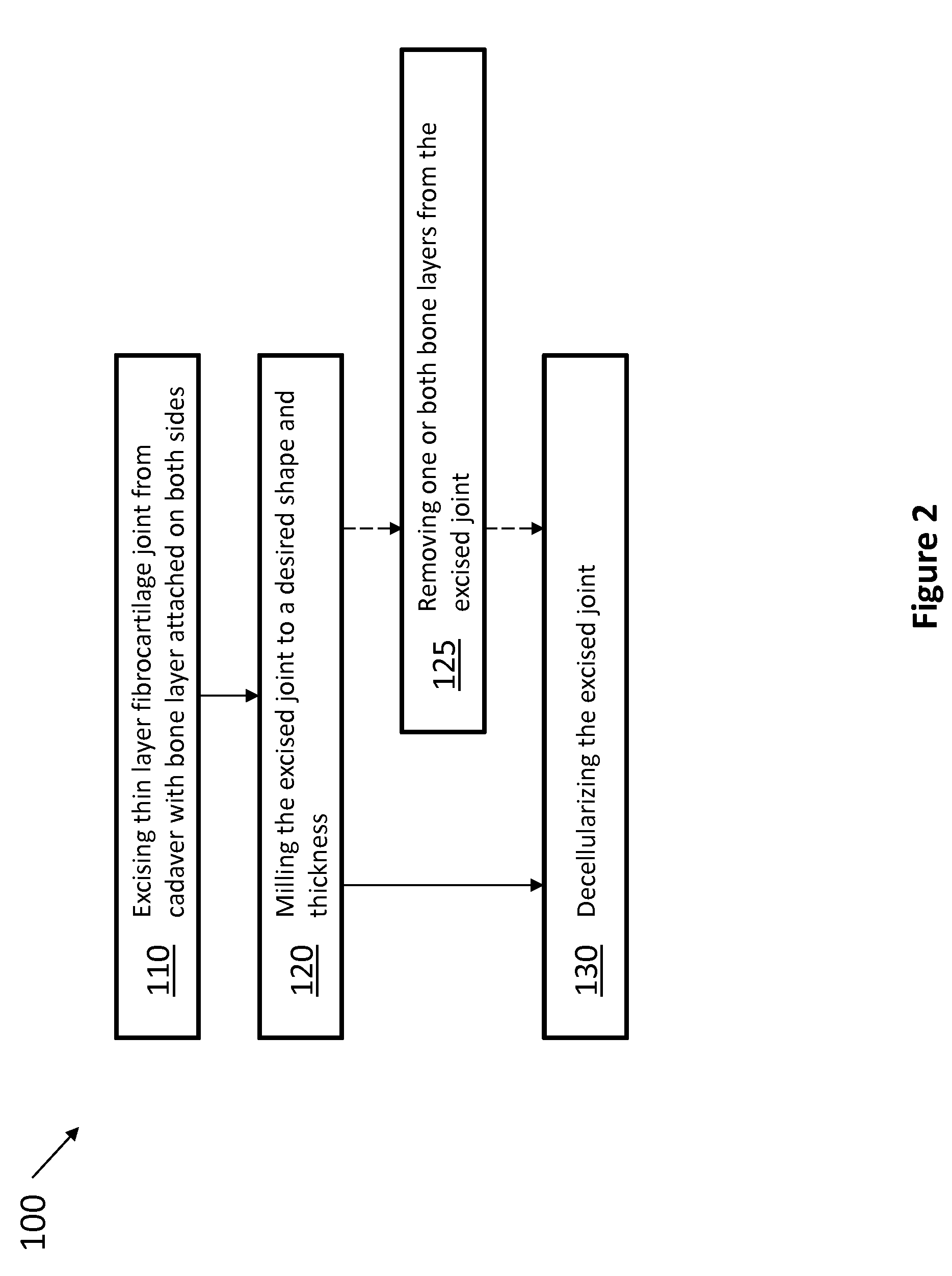 Biological Disc Graft and Method for Relief of Lower Back Pain and Joint Pain