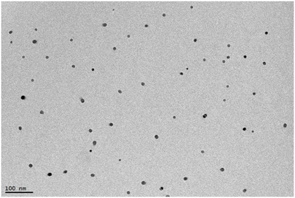 A kind of preparation method of dextran/nano gold-silver alloy composite