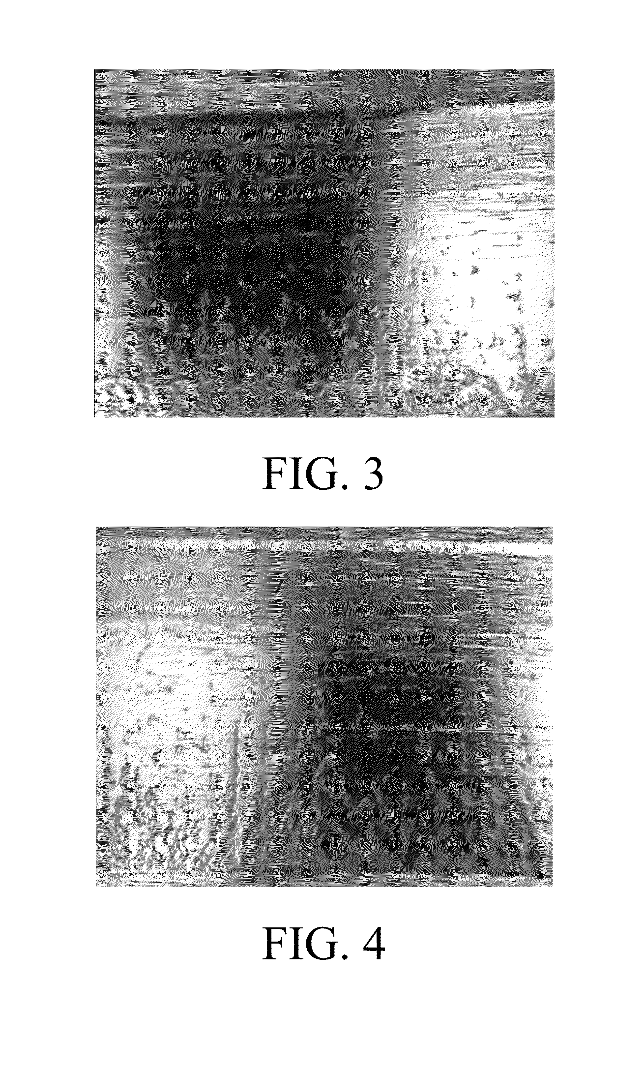 Industrial gear lubricating oil composition used for resisting micro-pitting