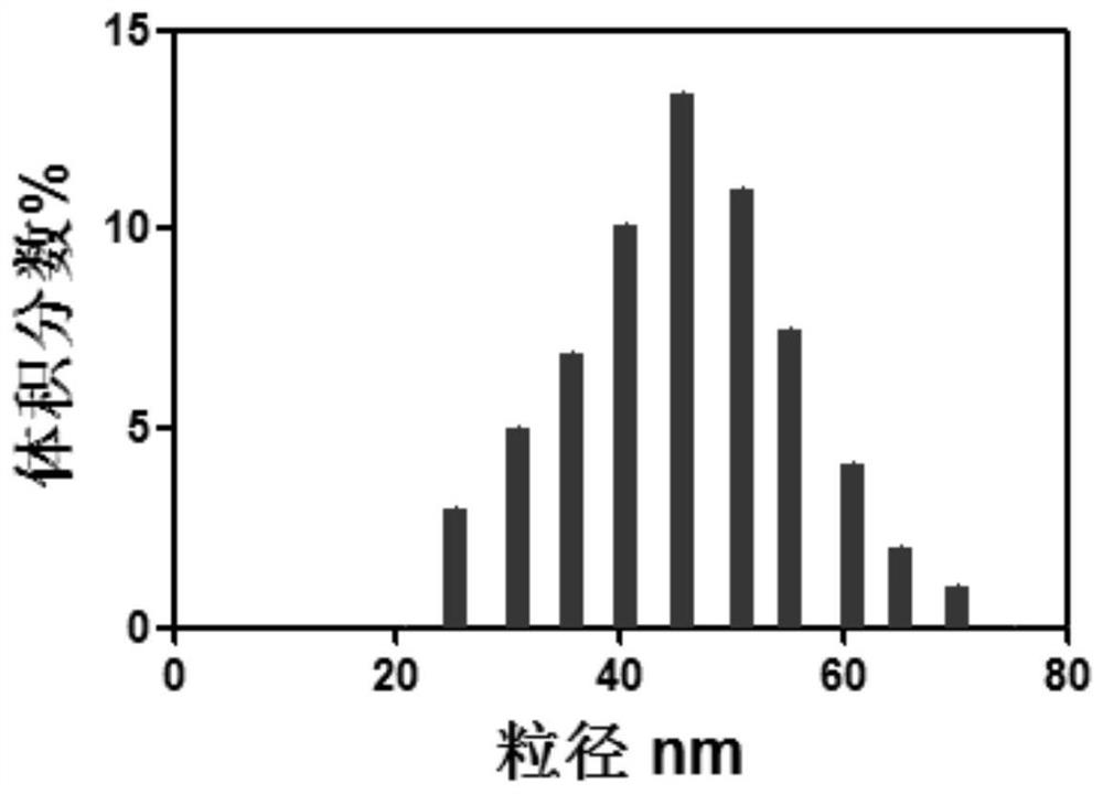 A magnetic nanoparticle for imaging guidance and its preparation method