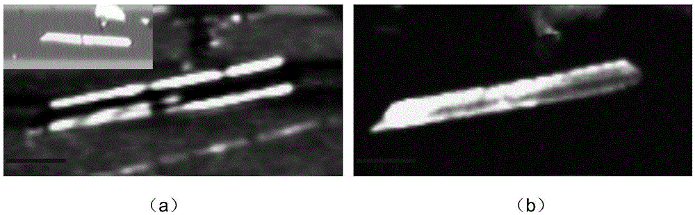 Photovoltaic and luminescence characterization methods for one-dimensional nanostructures and three-dimensional micro-regions