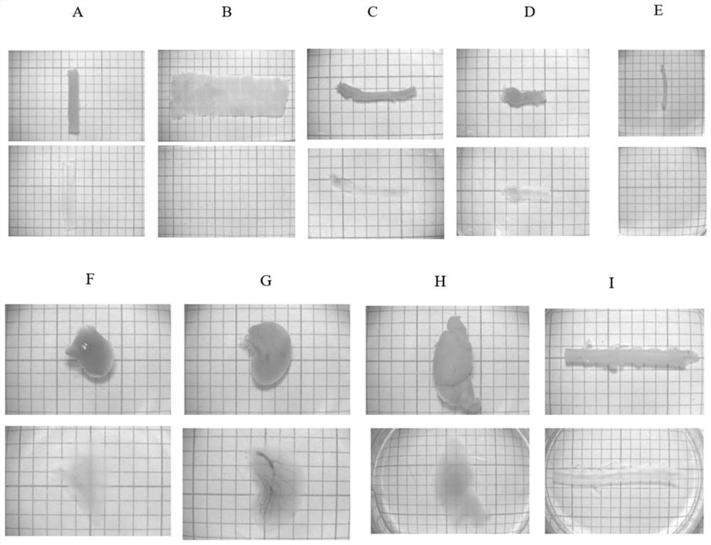 Tissue clearing kits and methods