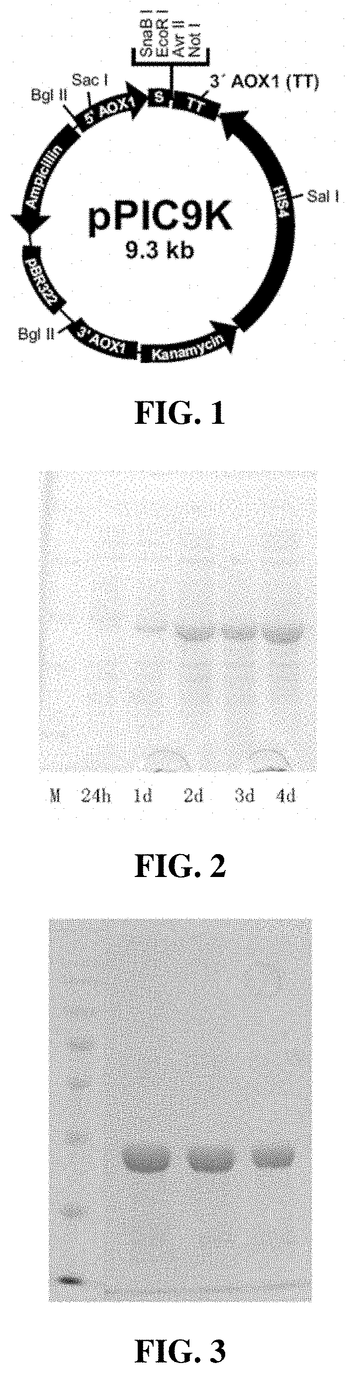 A yeast-fermented recombinant fibronectin peptide in small molecule, and its preparation method and applications thereof