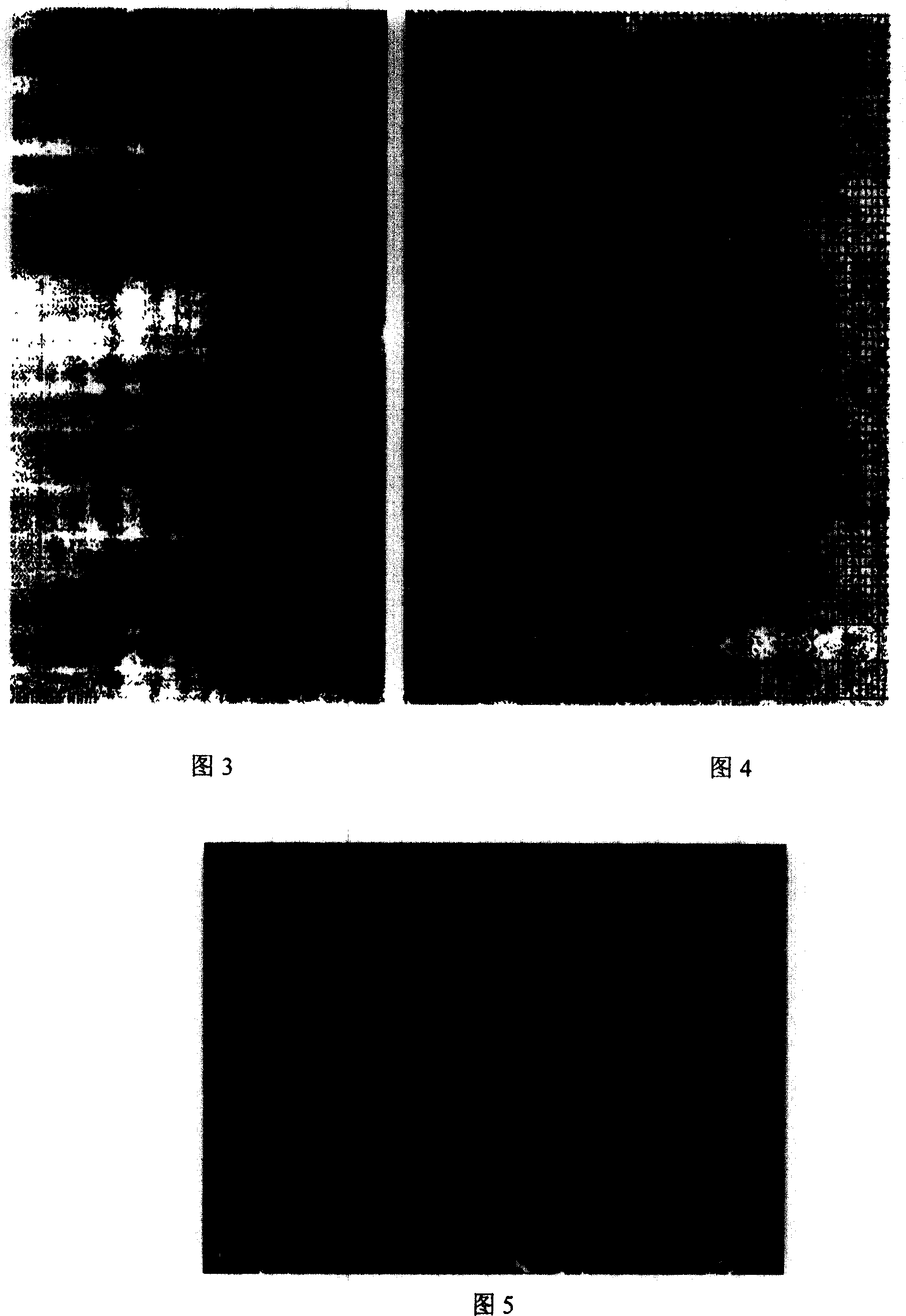 Non-crystal inorganic structure guide agent for synthesizing nano/submicrometer high silicon ZSM-5 zeolite and its preparing process