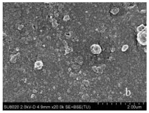 a tio  <sub>2</sub> /Preparation method of cellulose nanocomposite membrane and its composite membrane and application