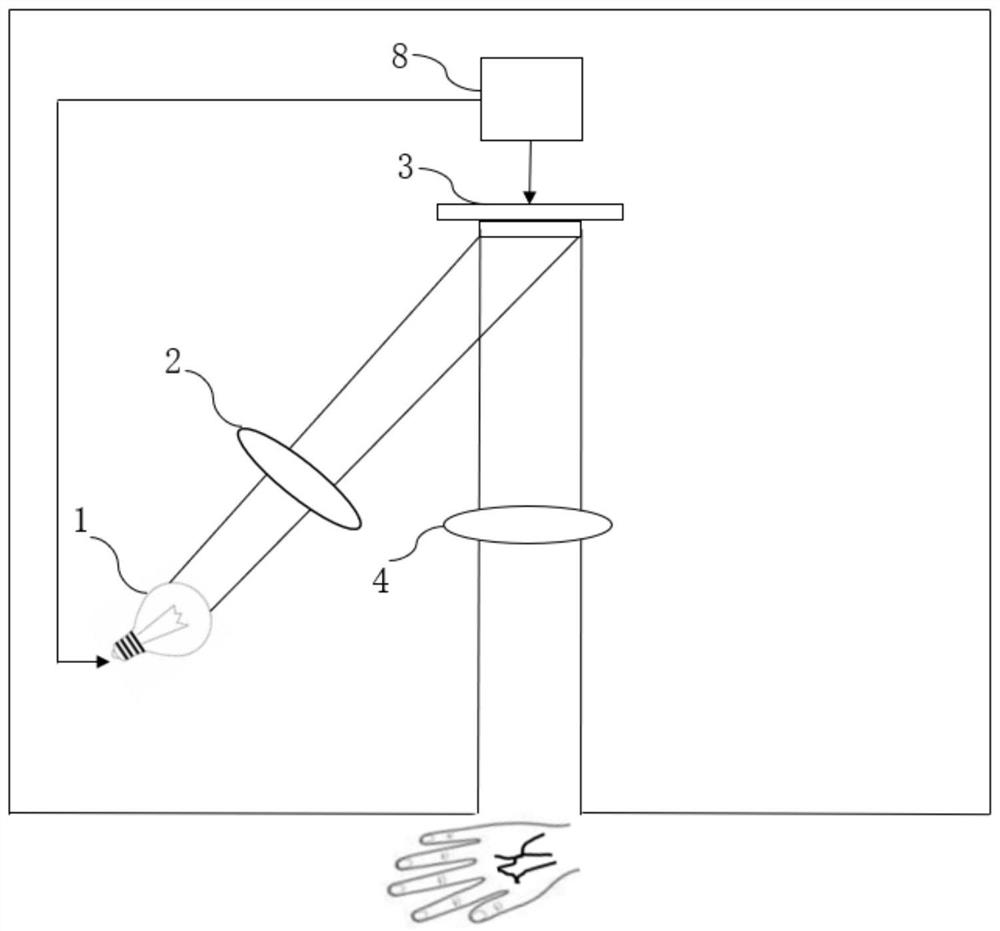 Deep vein visualization device and deep vein visualization method based on nir-ii light single-pixel imaging