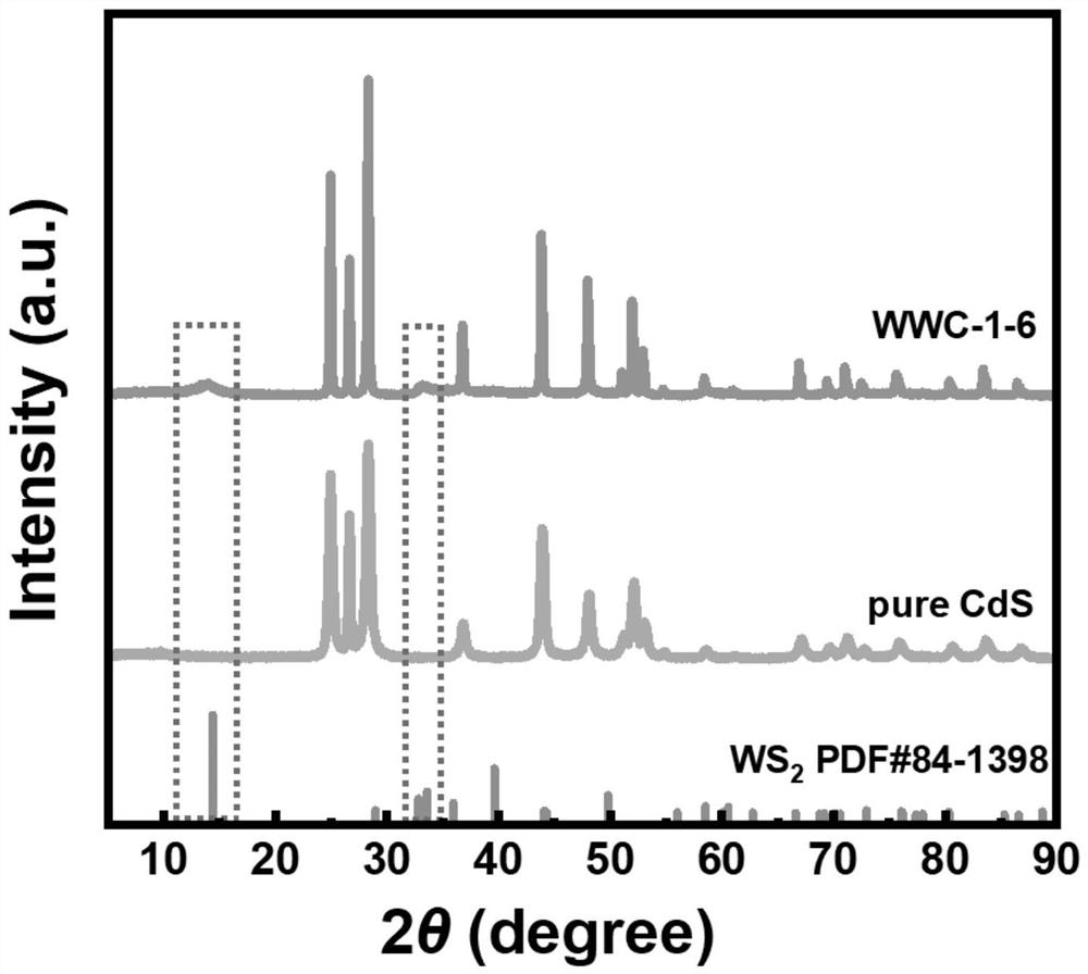 Preparation method of tungsten disulfide nanosheet modified cadmium sulfide photocatalyst