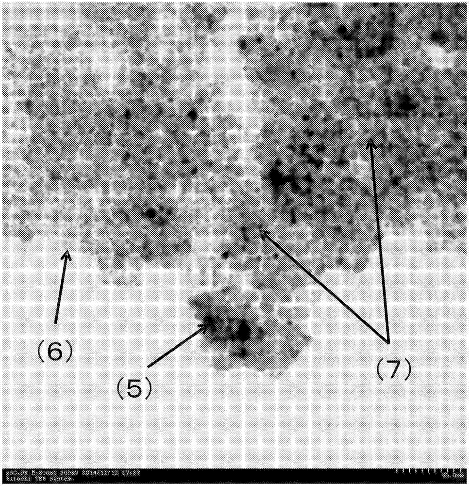 Catalyst carrier and method for manufacturing same