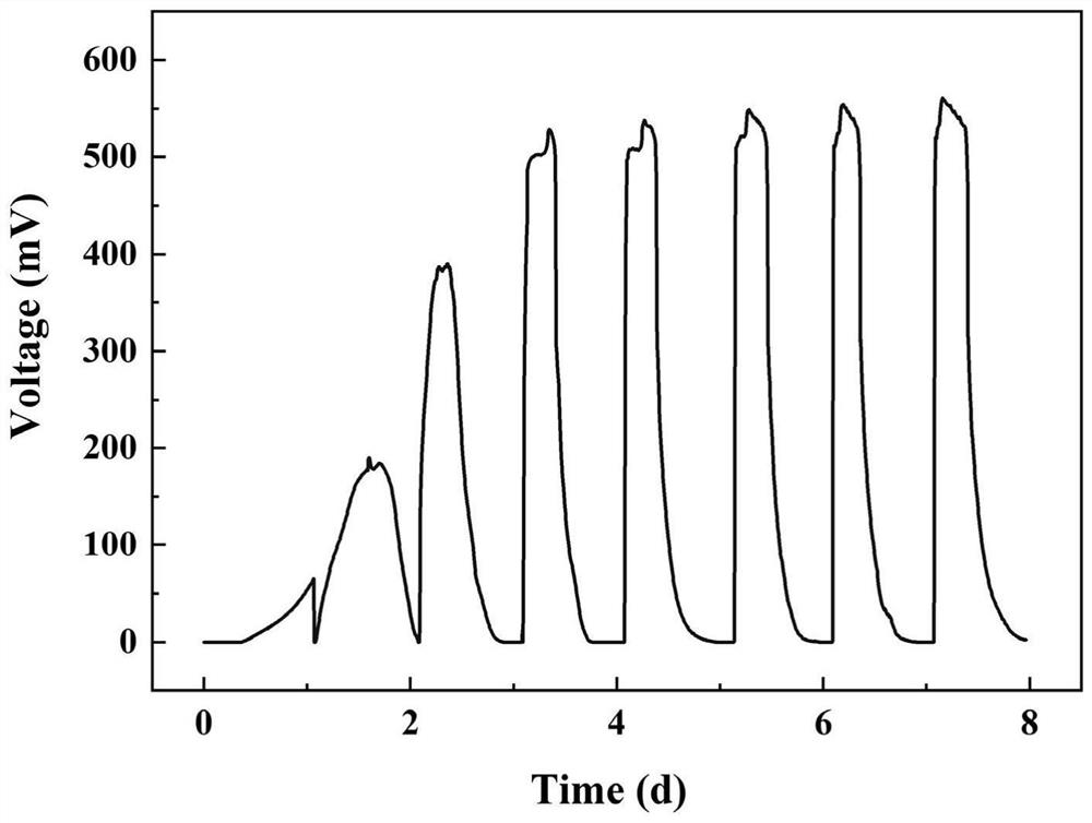 Method for enhancing stability of early warning against water environment toxicity