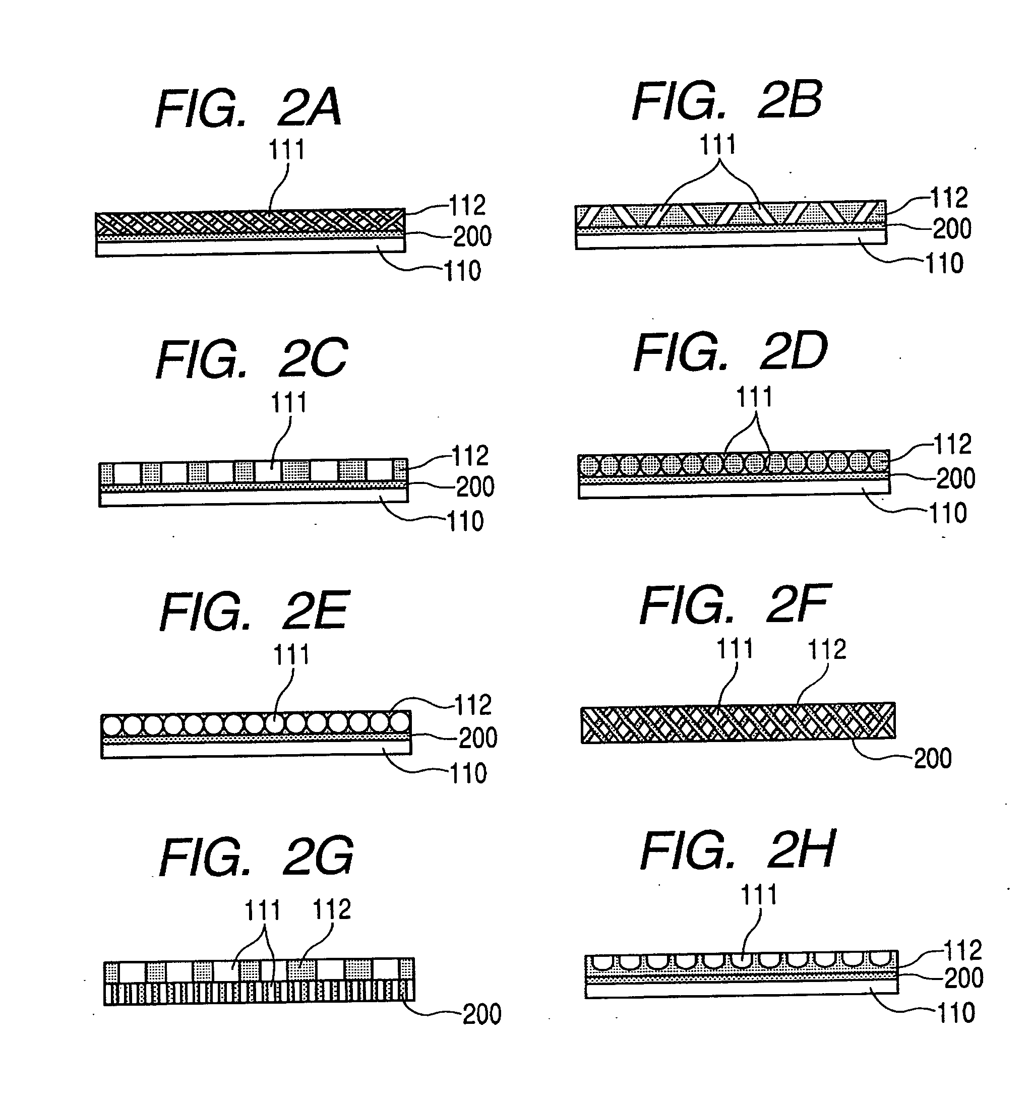 Biological tissue processing substrate, processing apparatus, processing method and processing kit
