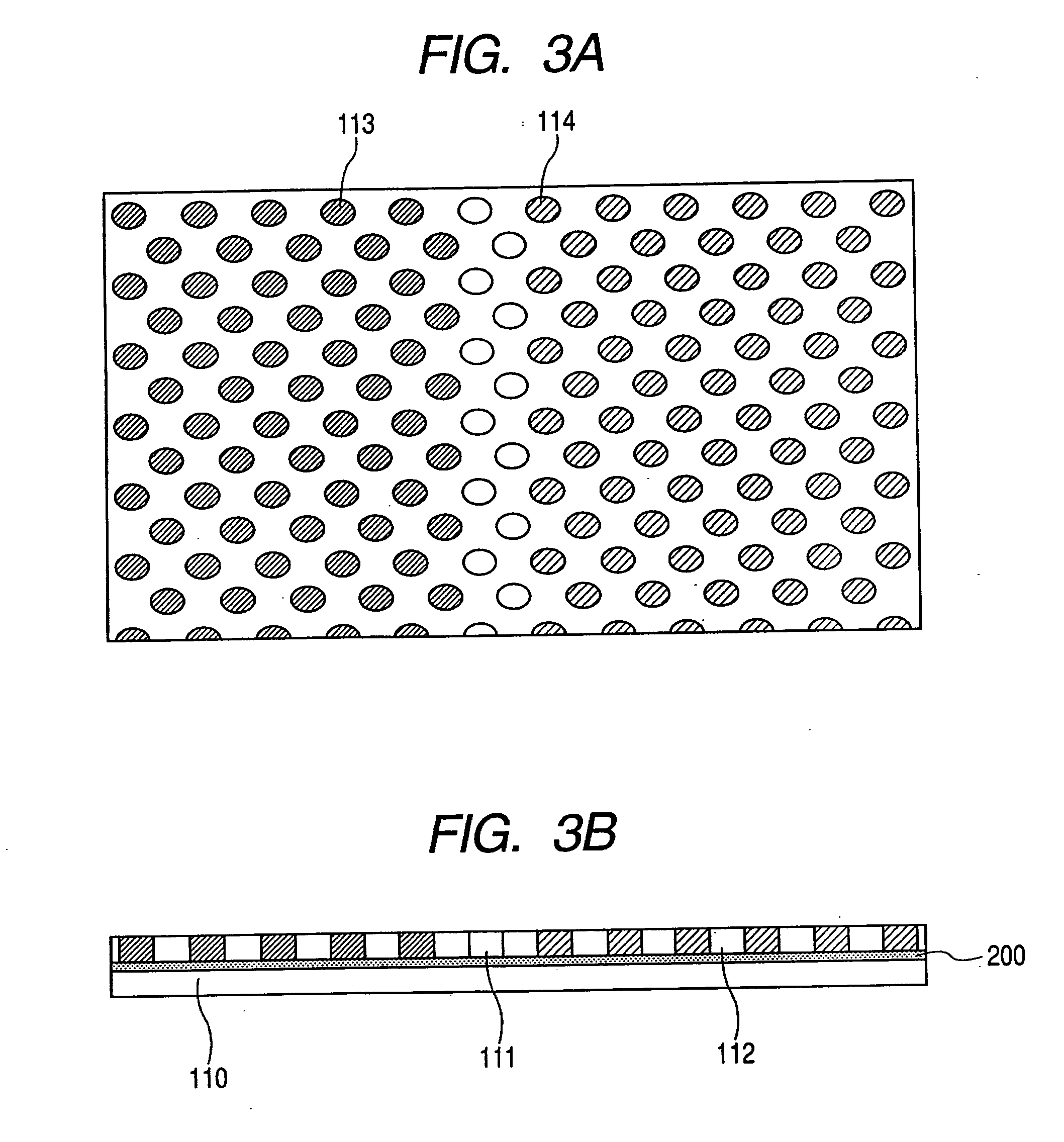 Biological tissue processing substrate, processing apparatus, processing method and processing kit
