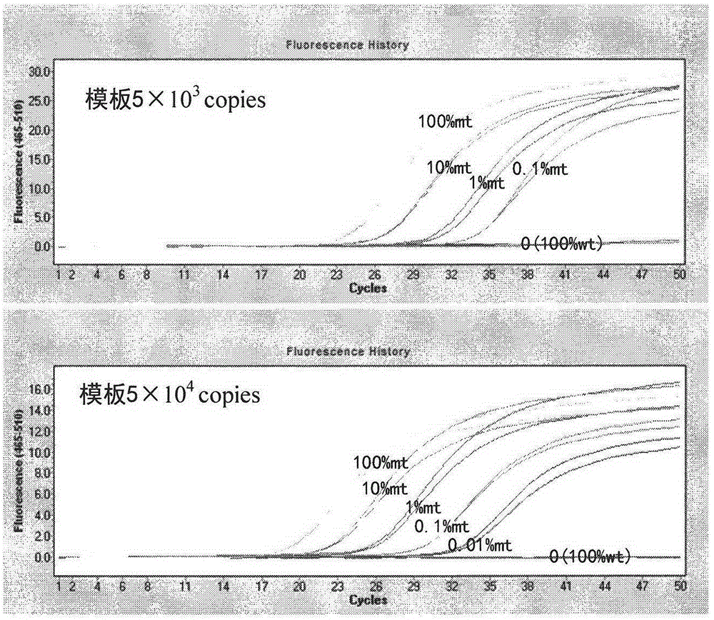 KRAS gene mutation detection kit and application thereof