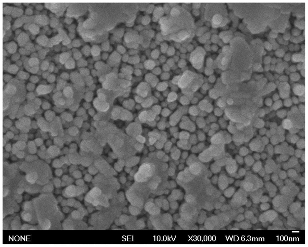 Anode material applied to photoelectric degradation of tetracycline and preparation method of anode material