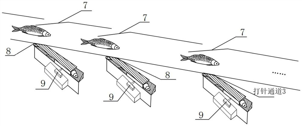 Grass carp vaccine identification and continuous automatic injection method and device