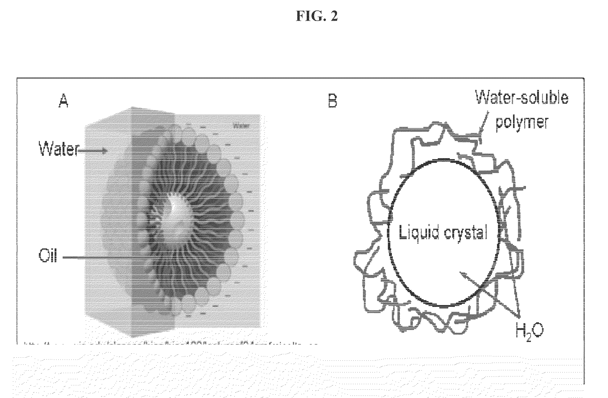 Non-amphiphile-based water-in-water emulsion and uses thereof