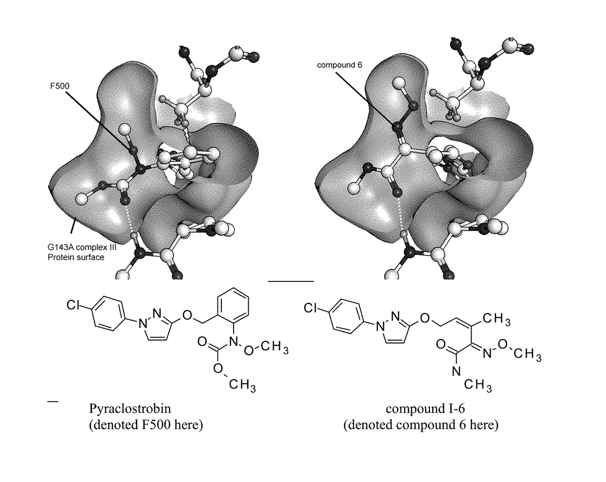 Use of strobilurin type compounds for combating phytopathogenic fungi resistant to Qo inhibitors