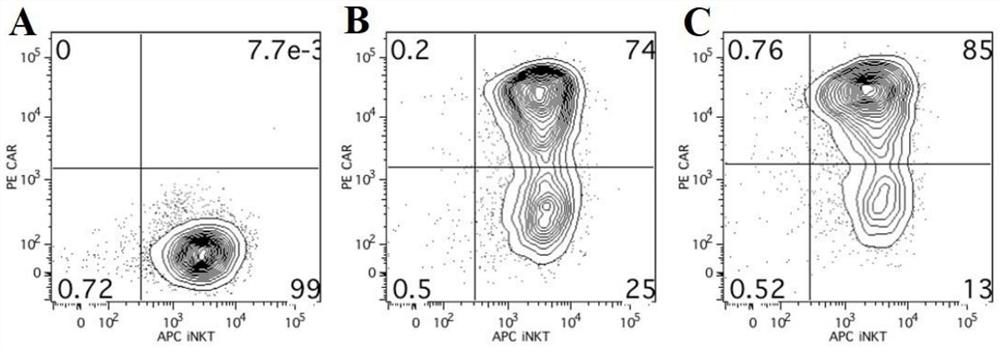 A fully human chimeric antigen receptor targeting b7h3 co-expressing IL-21, inkt cells and its use