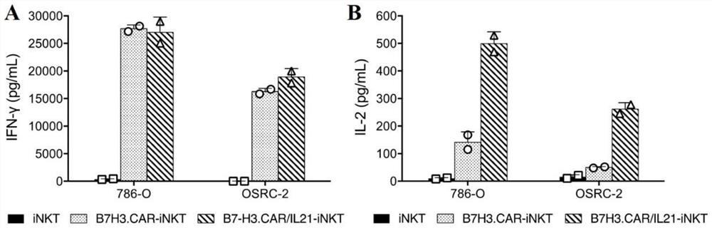 A fully human chimeric antigen receptor targeting b7h3 co-expressing IL-21, inkt cells and its use