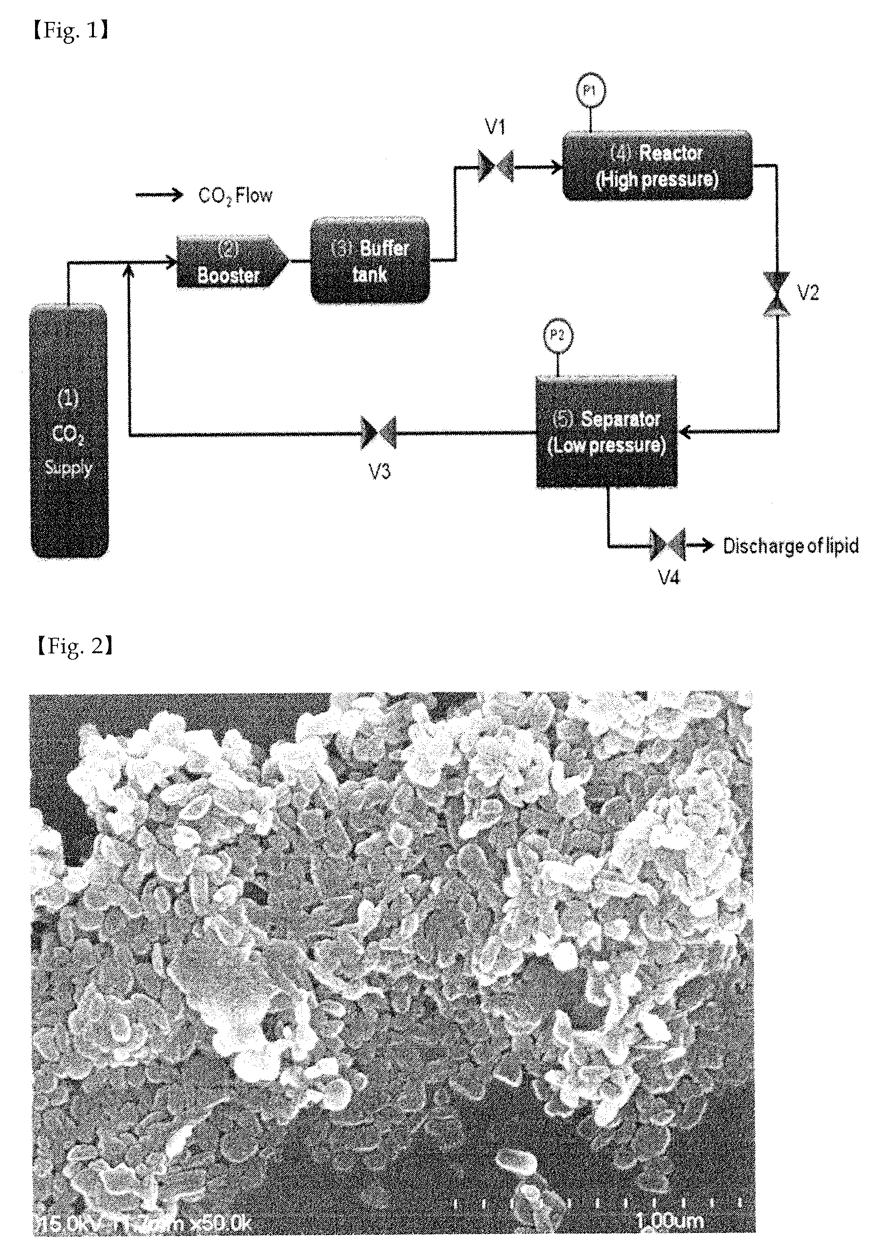 Oxaliplatin nanoparticles and method for preparing same