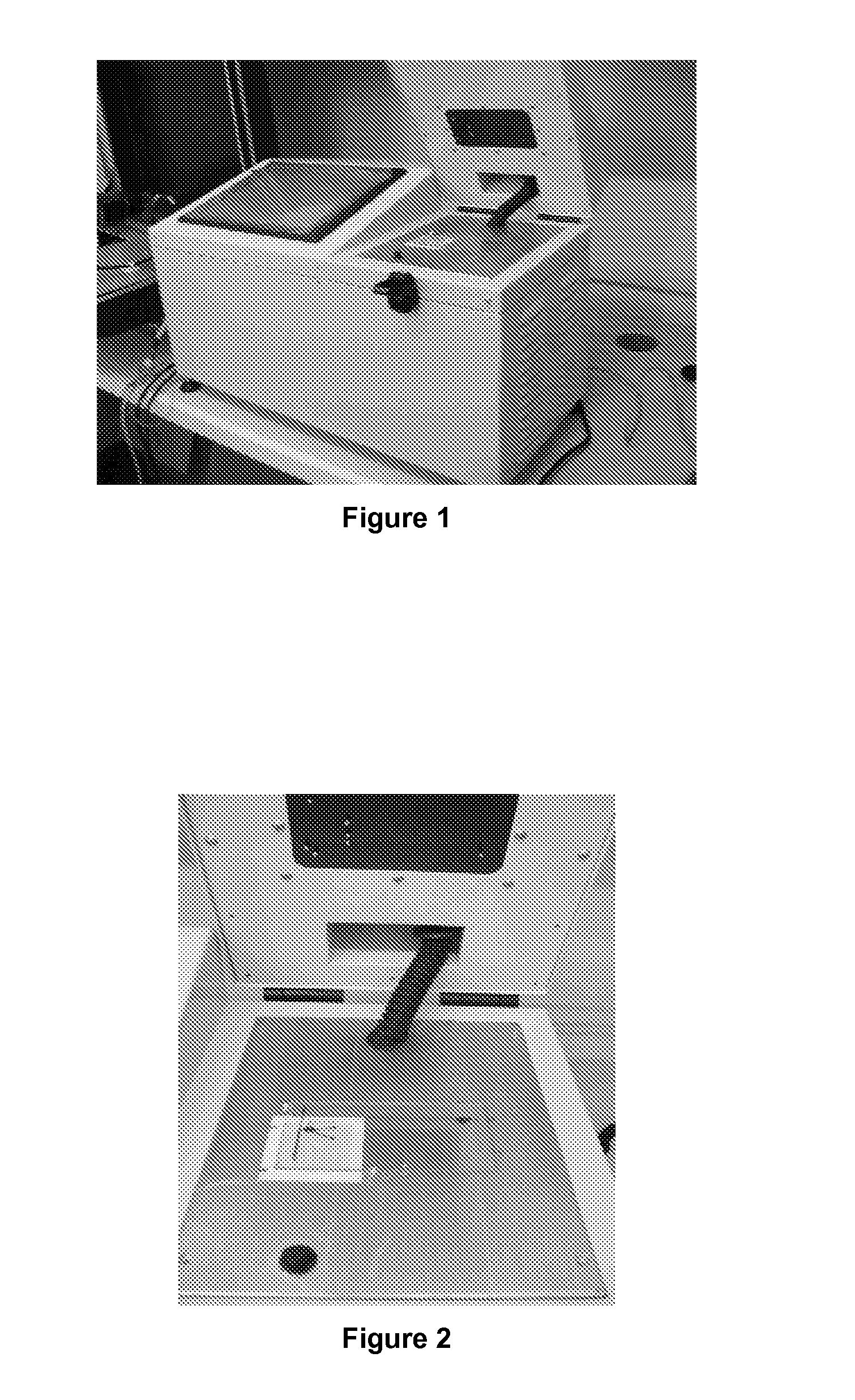Microfluidic apparatus and method for DNA extraction, amplification and analysis