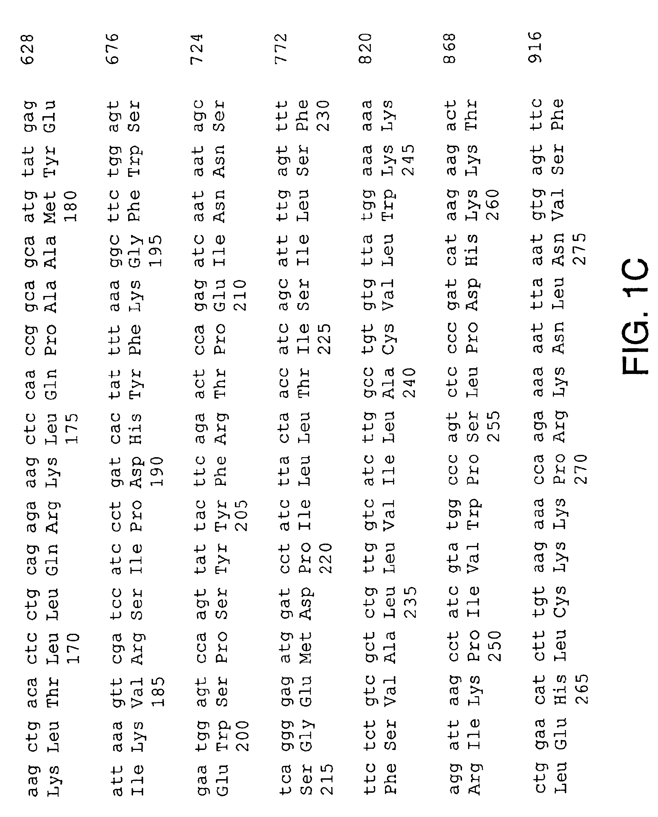 Nucleic acids encoding a cytokine receptor complex