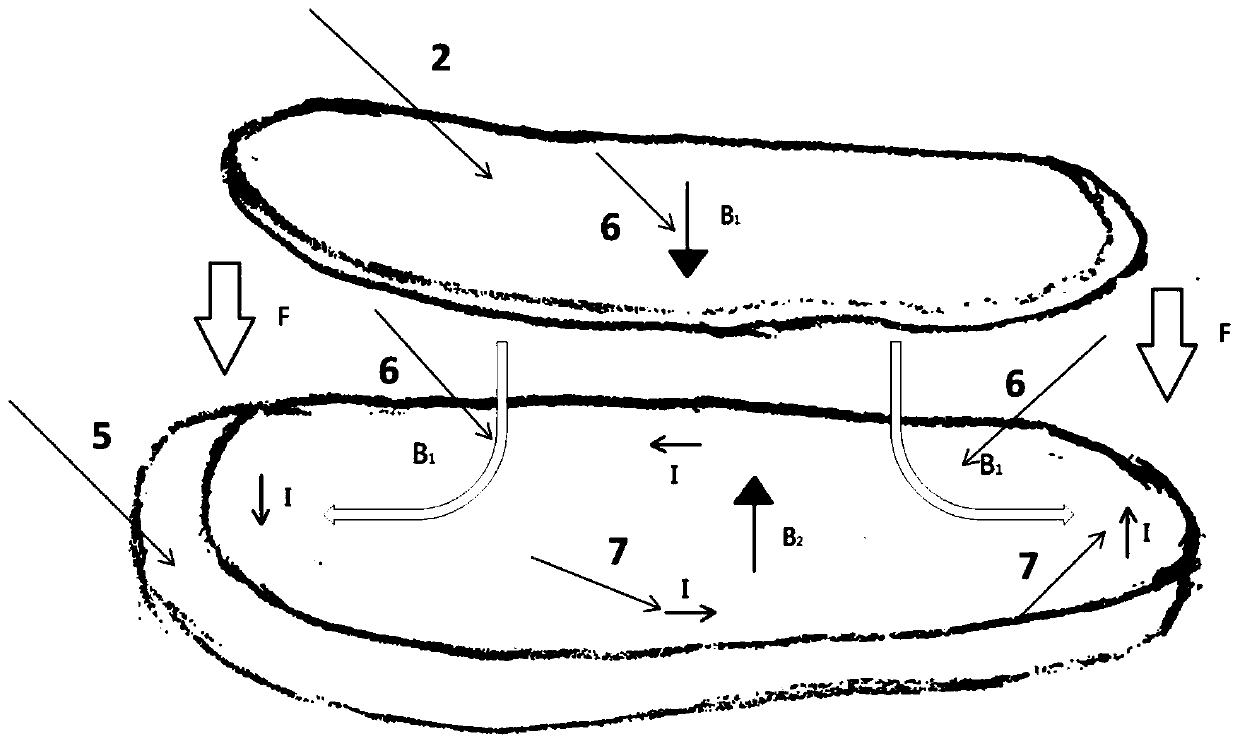 Buffer insole device with electric power storage function based on magnetic damping
