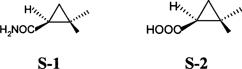 Method ofr synthesizing S-(1)-2.2 dimethylcyclopropane formamide