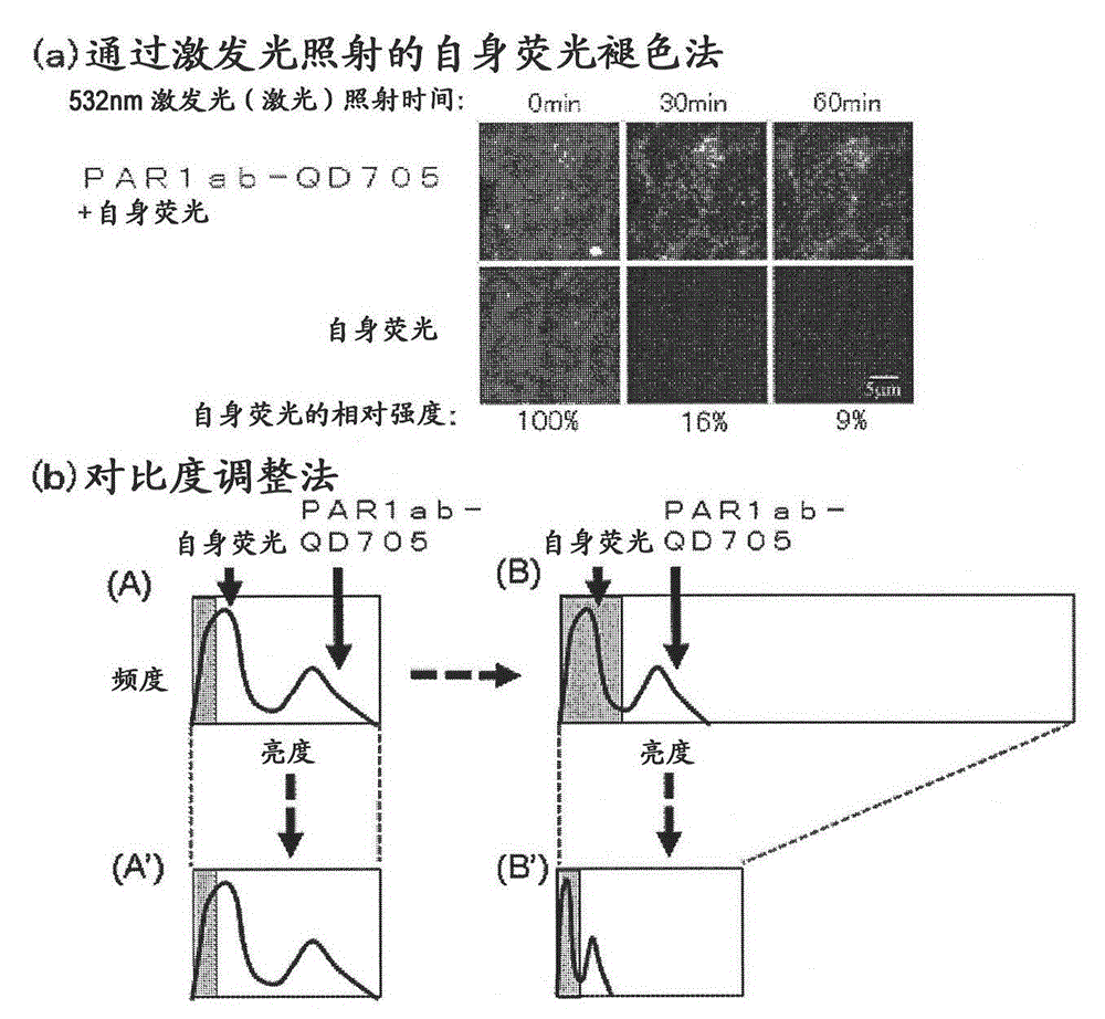 Methods for Determining Cancer Incidence or Risk of Cancer Incidence