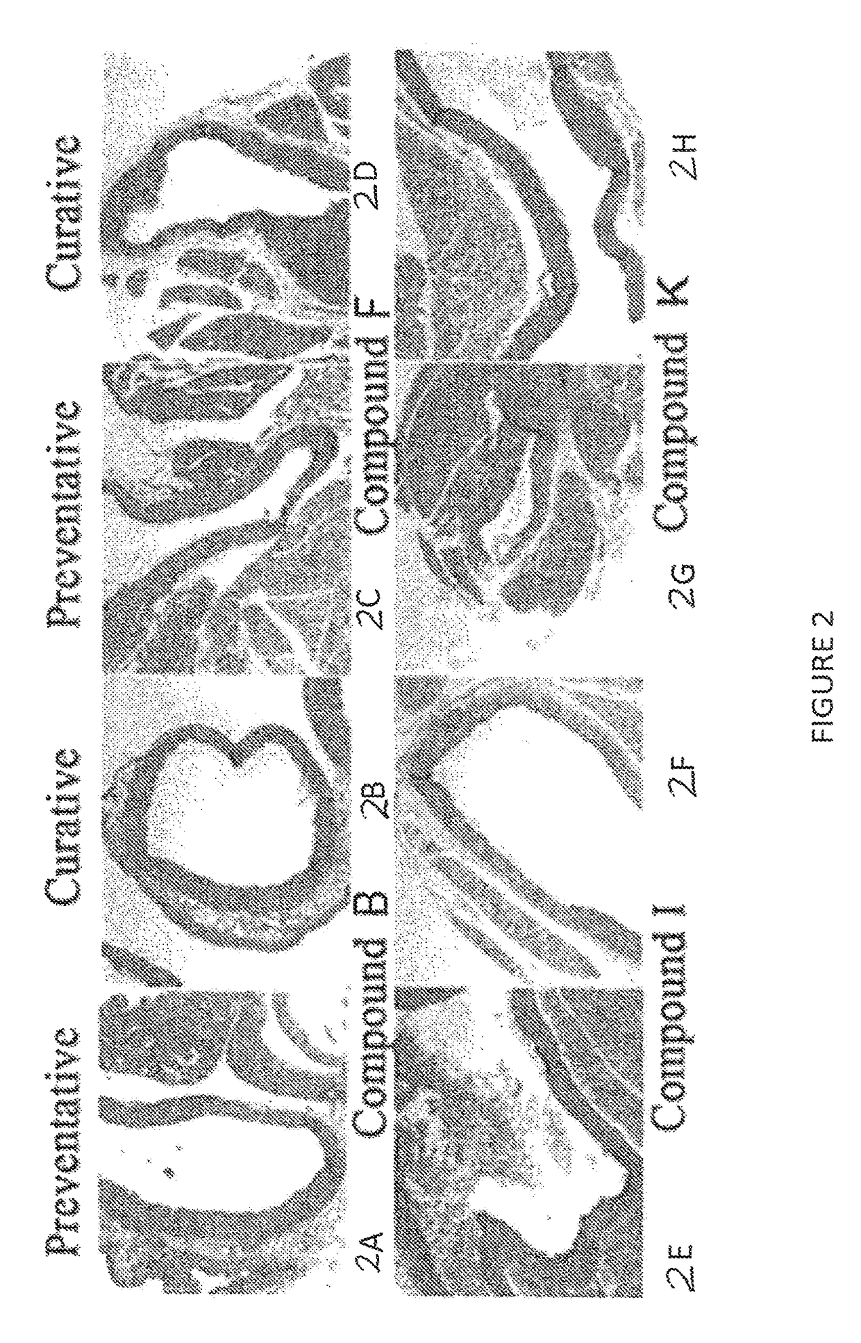 Methods and compositions for reversing disruption of the glycocalyx, inflammation, and oxidative damage