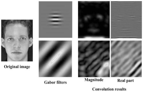 A Single Sample Face Recognition Method Based on Gabor Feature Extraction and Spatial Transformation