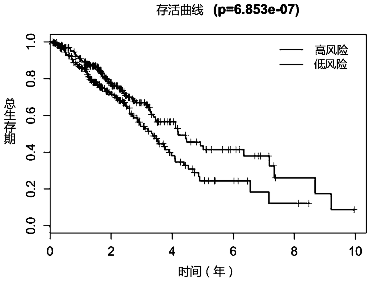 Prognosis marker for lung cancer and application thereof