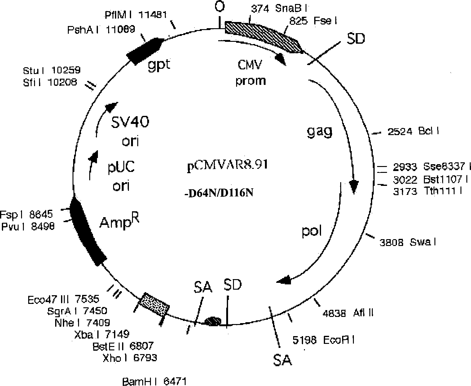 Site-specific integration retroviral vector system and preparation thereof