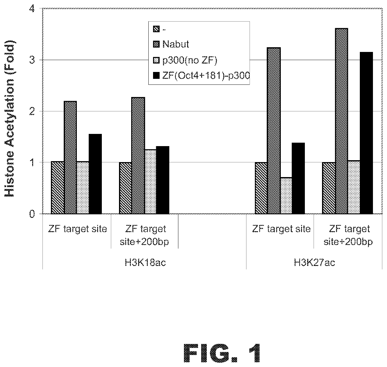 Targeted histone acetylation