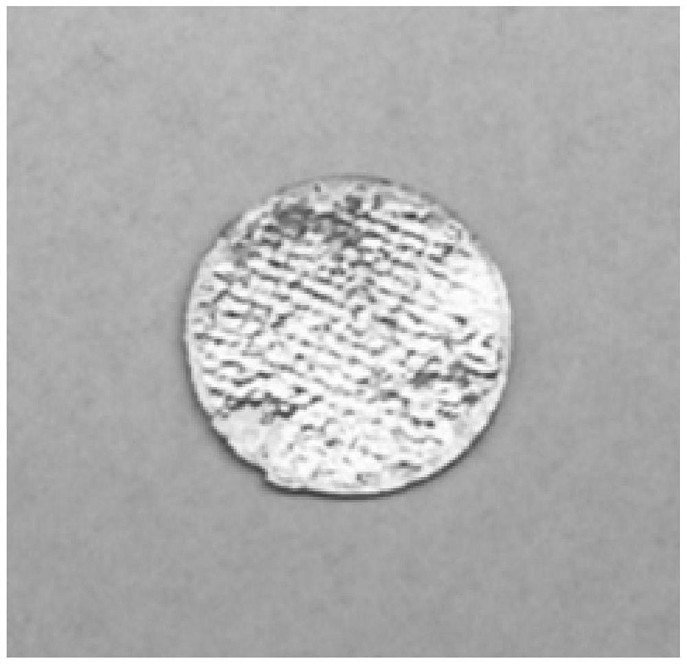 A kind of alkali metal composite negative electrode and its preparation method and its application in the preparation of solid alkali metal battery