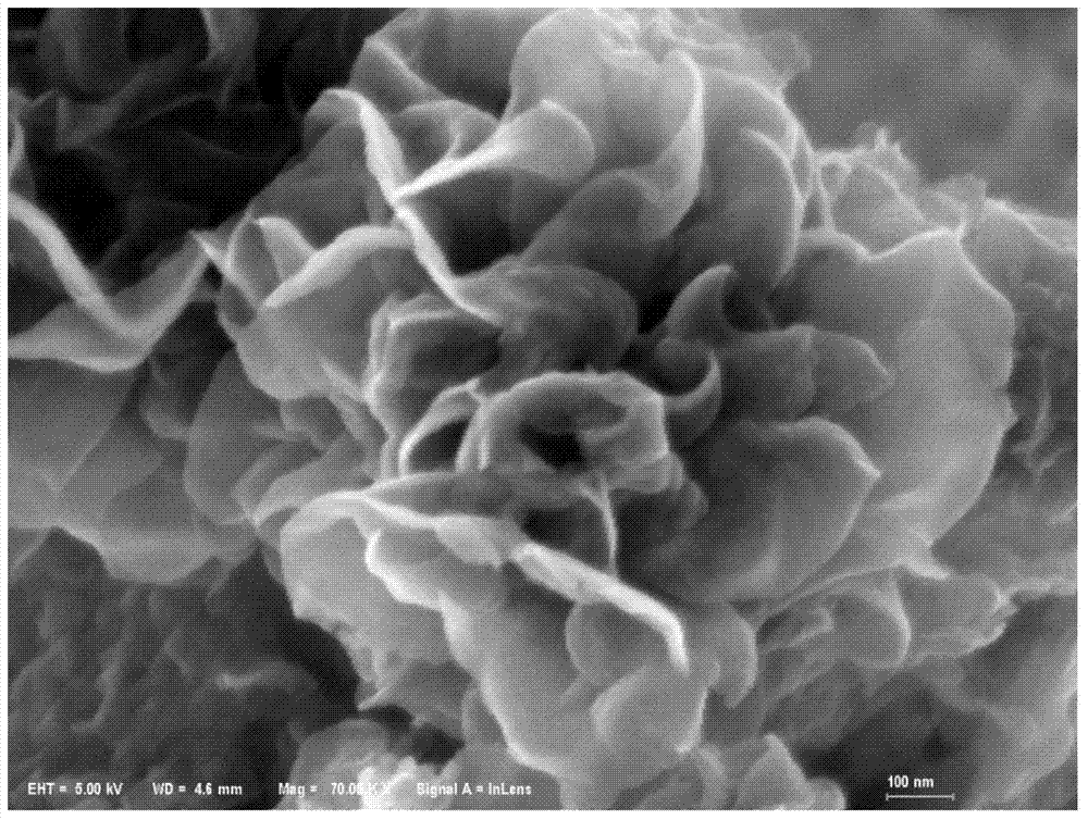 Flower-shaped MoS2 loaded Ag3PO4 nanosphere composite visible light catalyst and preparation method thereof