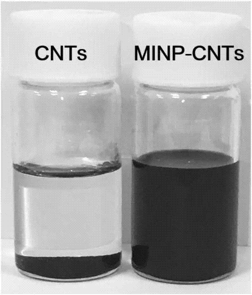 Method of preparing flexible molecularly imprinted sensor based on carbon nano tube-loaded polymeric micelle