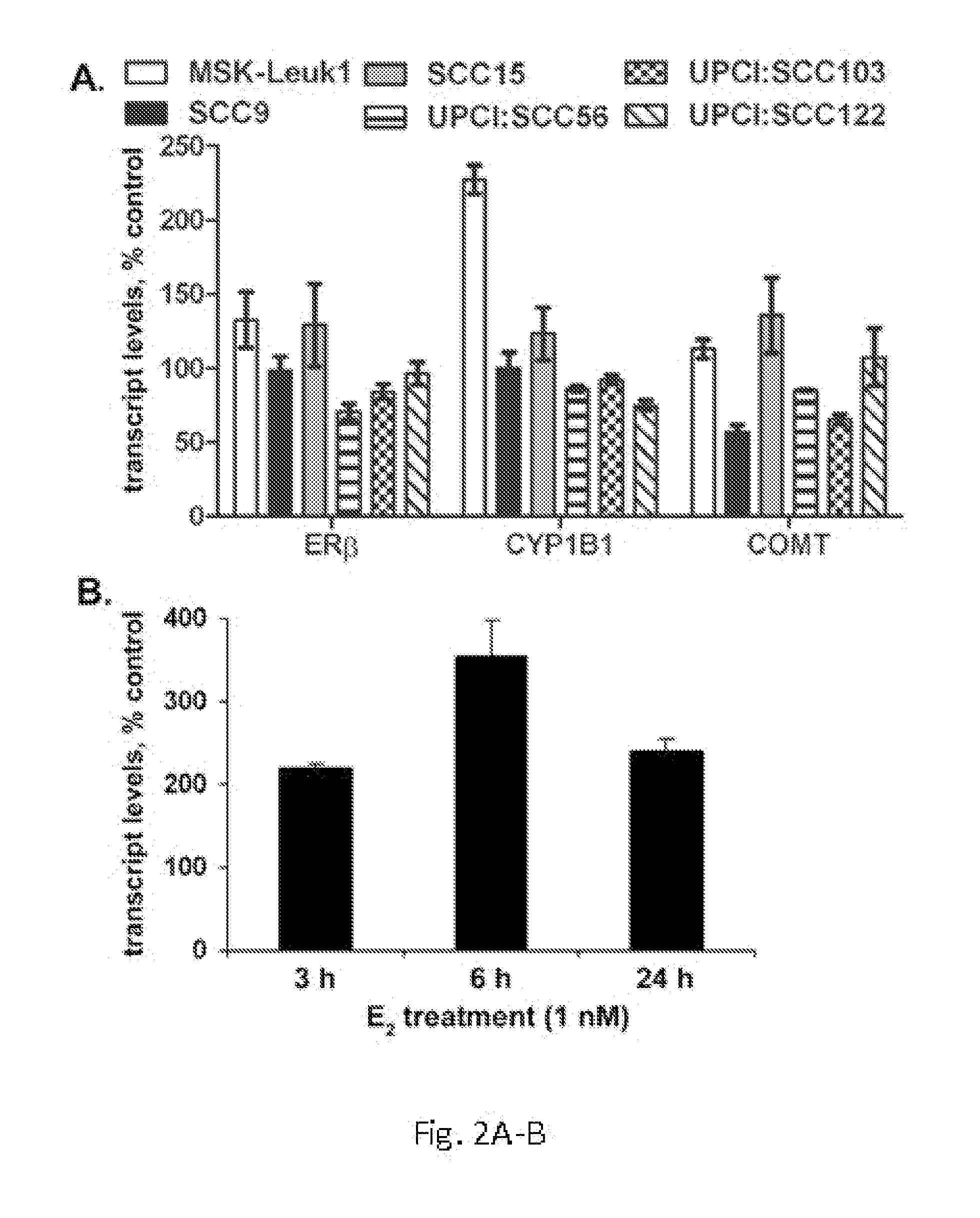 Methods for screening compounds for capability to inhibit premalignant squamous epithelial cell progression to a malignant state