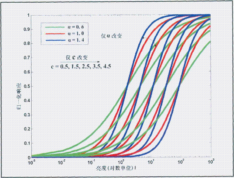 Local visual adaptation model-based real image reproduction method