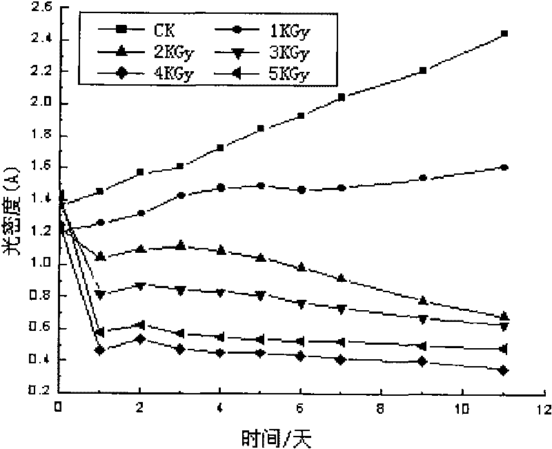 Method for efficiently inactivating microcystis aeruginosa by irradiating electron beams