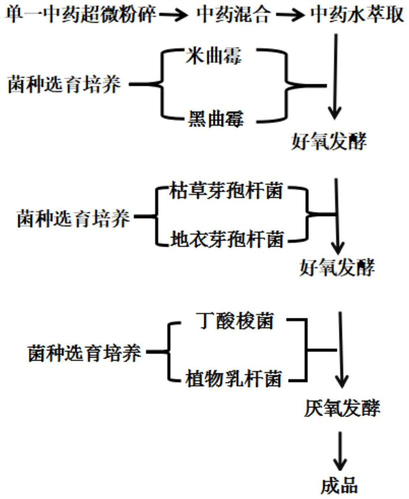 Fermented traditional Chinese medicine for preventing and treating bovine sarcoidosis, and preparation method thereof