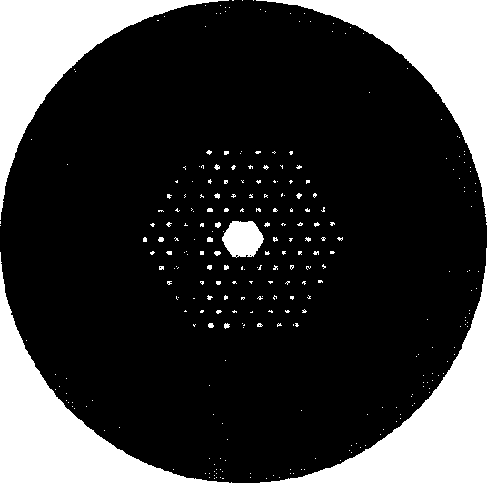 Optical fiber gas sensor