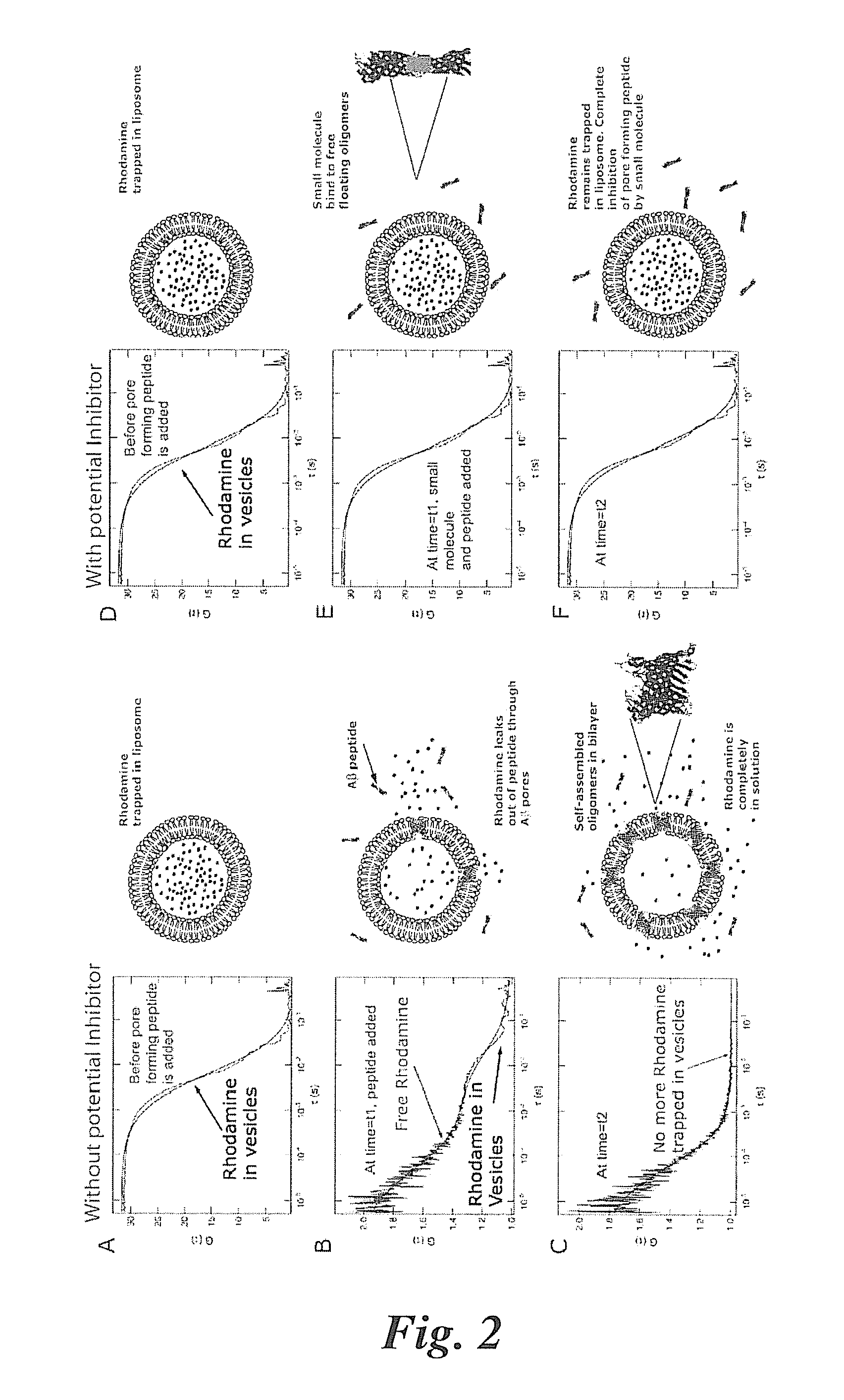 Screening assays for inhibitors of beta amyloid peptide ion channel formation