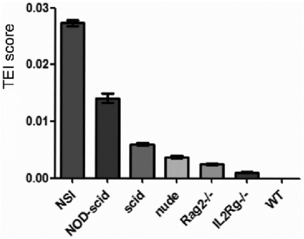 Method for evaluating immunodeficiency degree of immunodeficient mice model