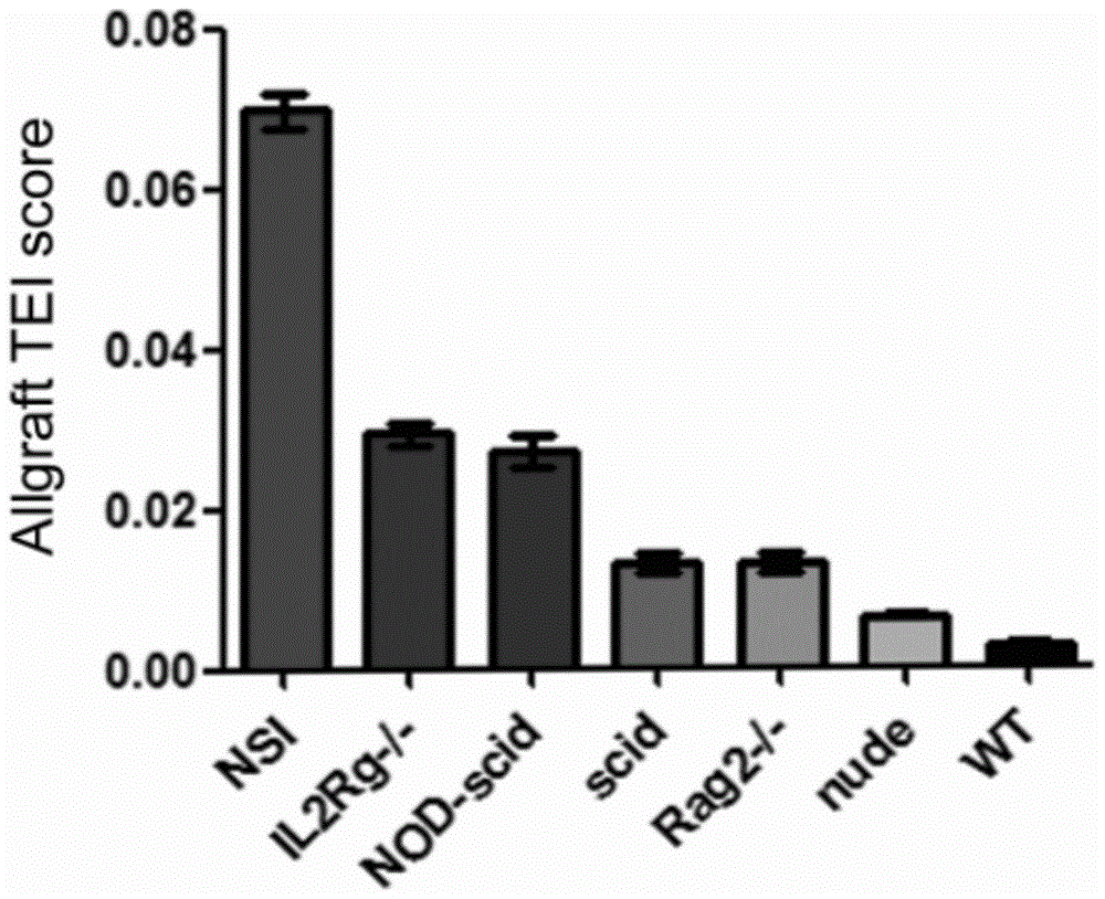 Method for evaluating immunodeficiency degree of immunodeficient mice model