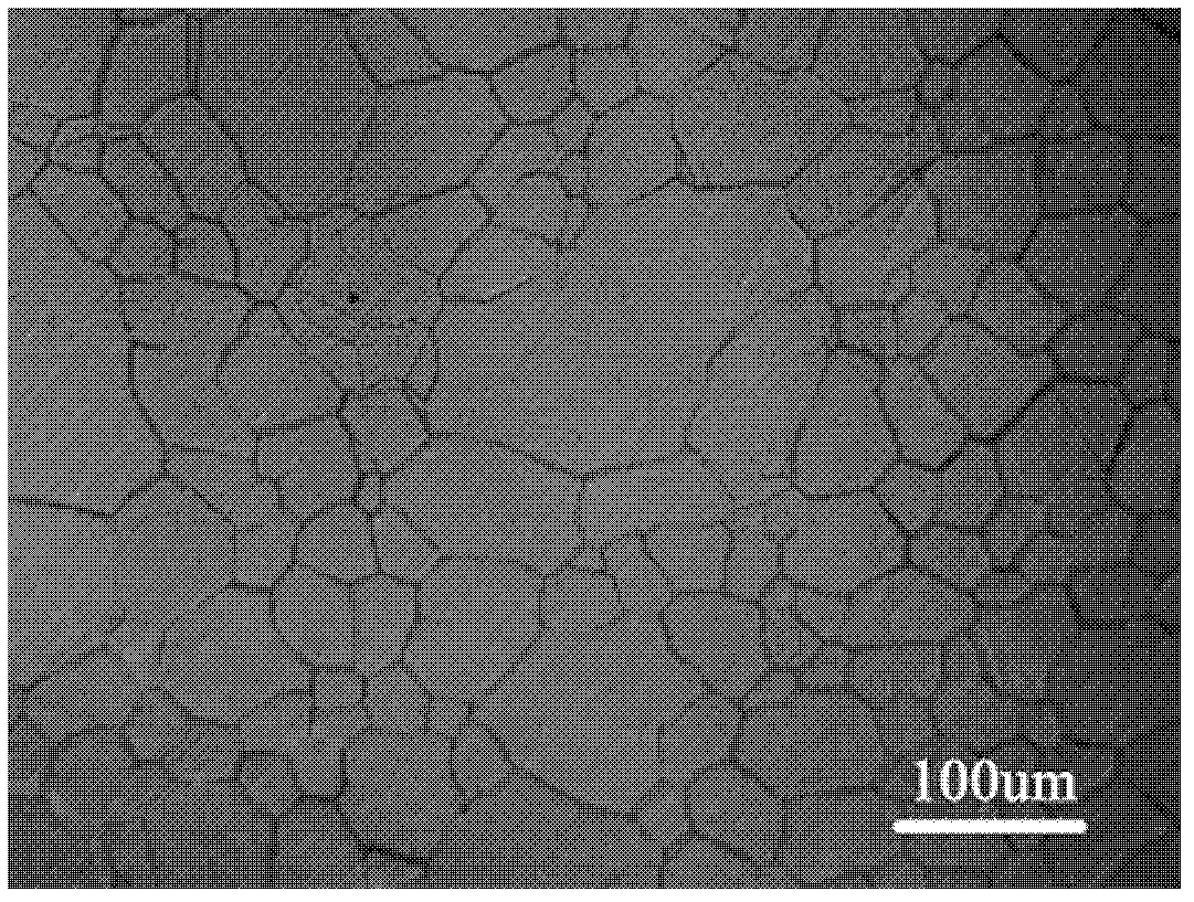 Method for growing large-area graphene by utilizing multi-benzene-ring carbon source low-temperature chemical vapor deposition